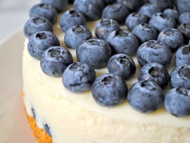 تشيز كيك بالتوت البري